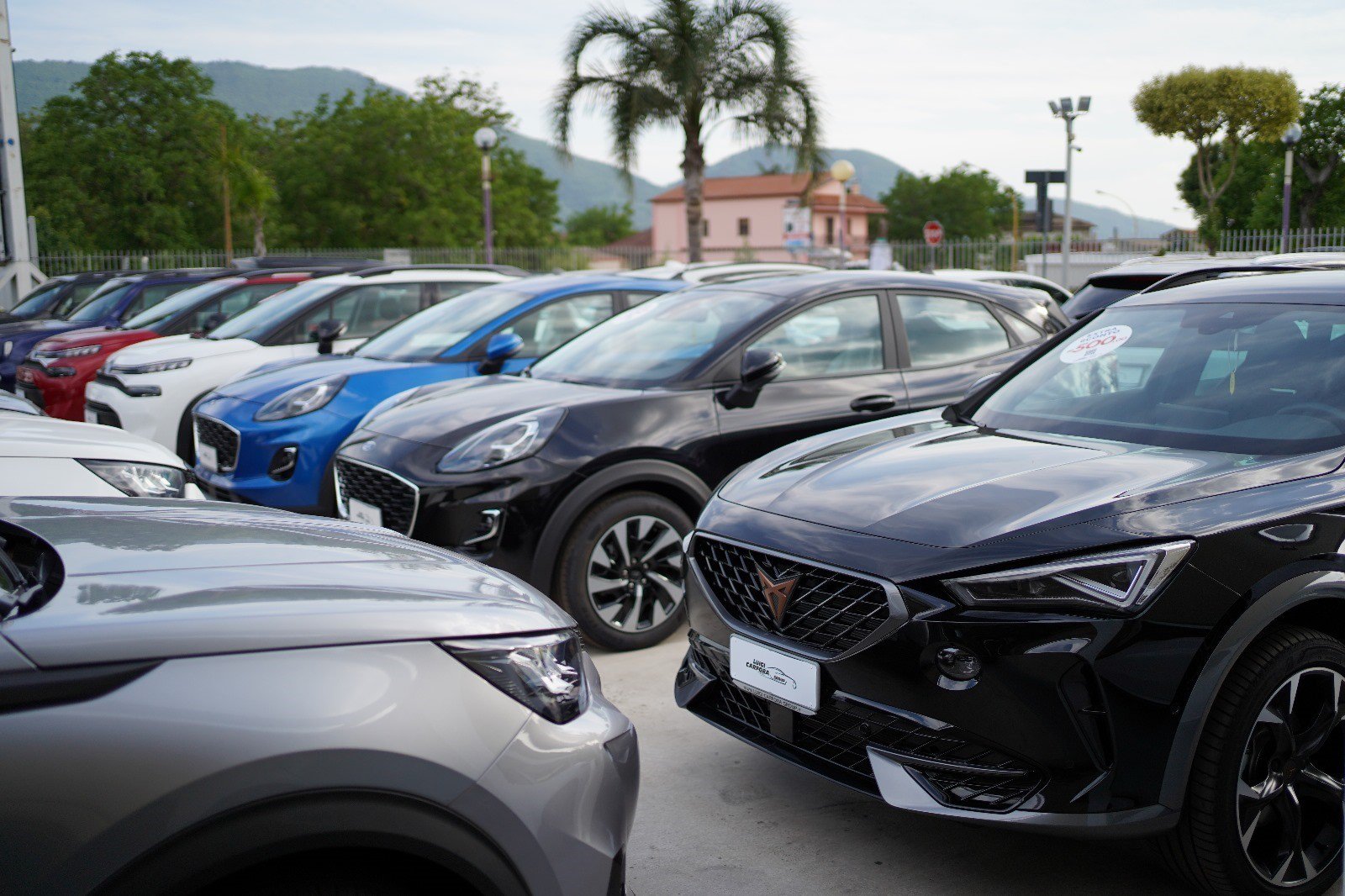 Showroom elegante di Luigi Carfora Group Srl, specializzato in auto nuove e usate a Napoli e Arienzo